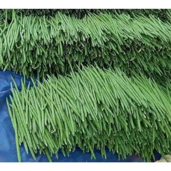 Green Drumsticks